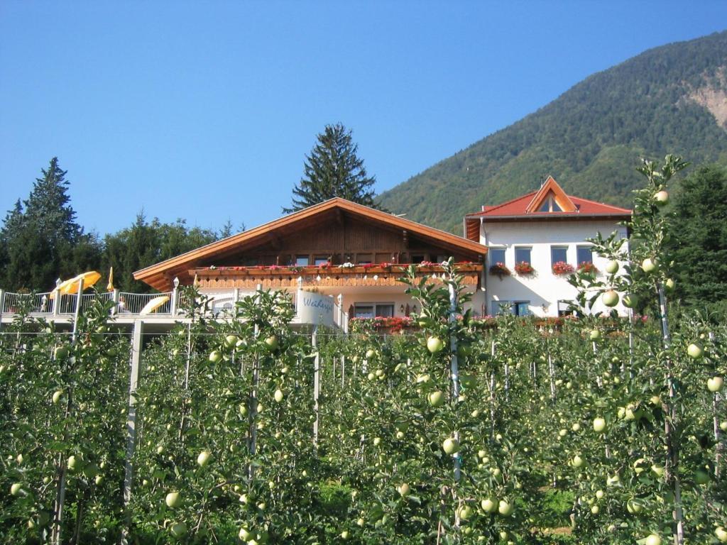 Weihergut Cermes Exterior photo